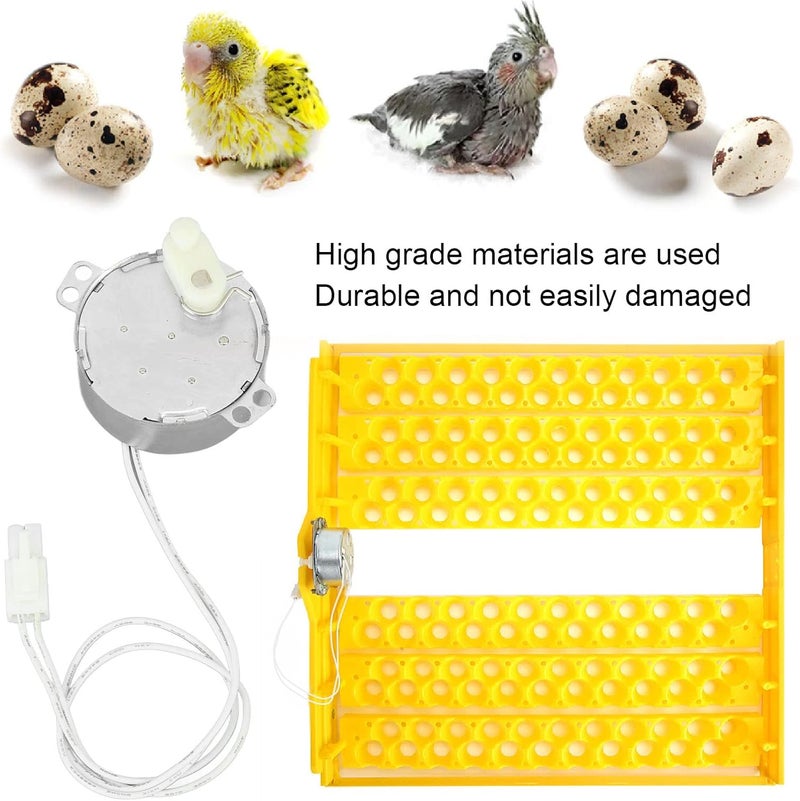 Fockety Egg Tray Turning Motor, Electric Synchron Motor Replacement Egg Turner Motor, Automatic Egg Turning Tray Tool Incubator Accessories for Incubating Chicken, Duck and Quail Egg - Image 3